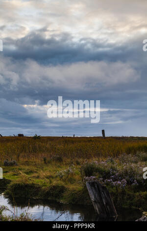 Ciel d'orage sur les terres humides côtières dans la région de Richmond (Colombie-Britannique) Banque D'Images