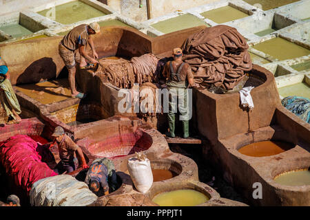 Fes, Maroc - 8 novembre 2017 : Les travailleurs en cuir Tannerie Chouara peinture au milieu de la médina de Fès. Credit : Dino Geromella Banque D'Images