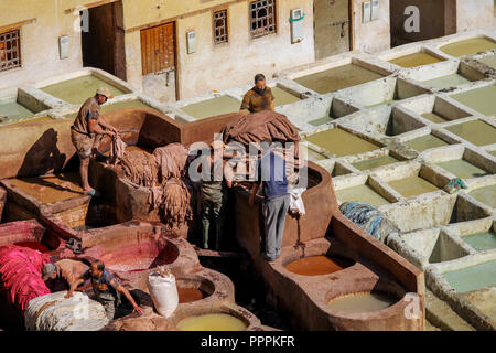 Fes, Maroc - 8 novembre 2017 : Les travailleurs en cuir Tannerie Chouara peinture au milieu de la médina de Fès. Credit : Dino Geromella Banque D'Images