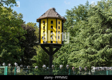 Pigeonnier, stadtgarten, Dortmund, Ruhr, Rhénanie du Nord-Westphalie, Allemagne Banque D'Images