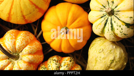 À partir de la vue ci-dessus de citrouilles orange mis en tas sur le foin sur fond noir Banque D'Images