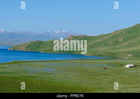 Chanson du lac Kol, province de Naryn, du Kirghizistan, de l'Asie centrale Banque D'Images