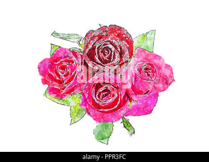Aquarelle de Rose isolated over white. Banque D'Images