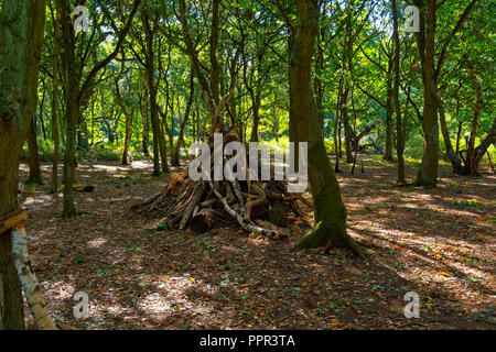 Dans une clairière dans la forêt de Sherwood est un gîte ou un refuge faites de vieux des branches de bouleau blanc et de chênes. Banque D'Images