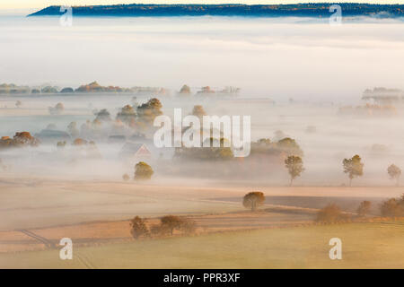 Brume matinale sur la campagne Banque D'Images