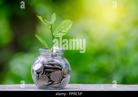 Bouteille d'argent billets billets de banque d'image de l'arbre avec la culture d'espèces végétales sur le dessus pour les affaires de fond naturel vert l'économie d'argent et d'investissement c financière Banque D'Images