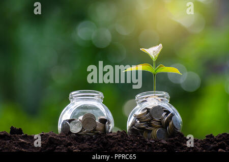 Bouteille d'argent billets billets de banque d'image de l'arbre avec la culture d'espèces végétales sur le dessus pour les affaires de fond naturel vert l'économie d'argent et d'investissement c financière Banque D'Images