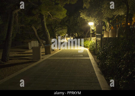 Promenade sur la mer Adriatique dans la nuit. Pins bordant le pot sont éclairés par un lampadaire. Banque D'Images