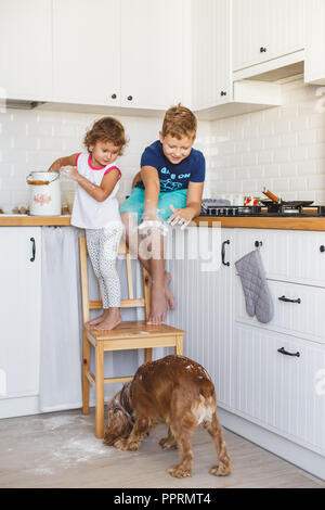 Frère et soeur de la préparation de la pâte à crêpes à la cuisine et jouer avec le chien. Style de vie décontracté de la série de photos d'intérieur dans la vie réelle Banque D'Images