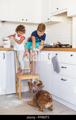 Frère et soeur de la préparation de la pâte à crêpes à la cuisine et jouer avec le chien. Style de vie décontracté de la série de photos d'intérieur dans la vie réelle Banque D'Images