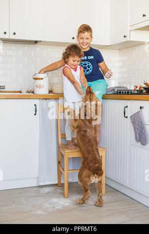 Frère et soeur de la préparation de la pâte à crêpes à la cuisine et jouer avec le chien. Style de vie décontracté de la série de photos d'intérieur dans la vie réelle Banque D'Images