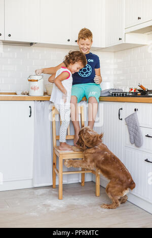 Frère et soeur de la préparation de la pâte à crêpes à la cuisine et jouer avec le chien. Style de vie décontracté de la série de photos d'intérieur dans la vie réelle Banque D'Images