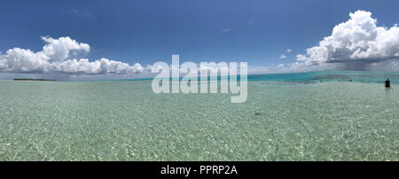 Une vue panoramique sur l'océan Pacifique autour de l'Îles Cook avec tuba dans l'eau. Banque D'Images