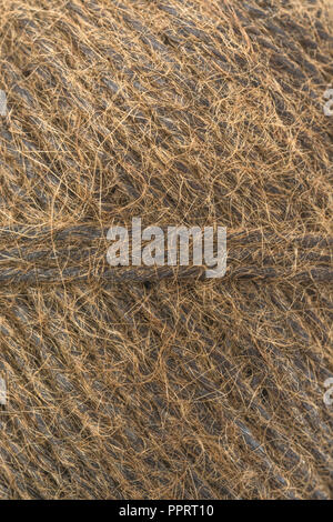 Jardin naturel fibre de sisal ficelle goudronnée / chaîne. Super macro de fibres individuelles qui composent la ficelle. "Métaphore Quelle est la durée d'un morceau de ficelle ?' Banque D'Images