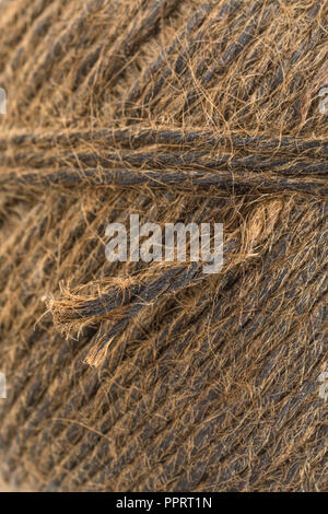 Jardin naturel fibre de sisal ficelle goudronnée / chaîne. Super macro de fibres individuelles qui composent la ficelle. "Métaphore Quelle est la durée d'un morceau de ficelle ?' Banque D'Images