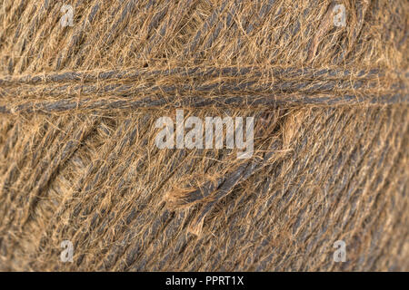 Jardin naturel fibre de sisal ficelle goudronnée / chaîne. Super macro de fibres individuelles qui composent la ficelle. "Métaphore Quelle est la durée d'un morceau de ficelle ?' Banque D'Images