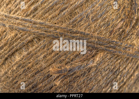 Jardin naturel fibre de sisal ficelle goudronnée / chaîne. Super macro de fibres individuelles qui composent la ficelle. "Métaphore Quelle est la durée d'un morceau de ficelle ?' Banque D'Images