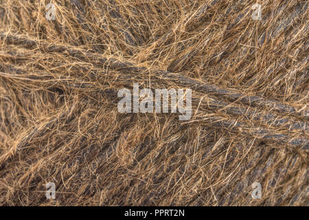 Jardin naturel fibre de sisal ficelle goudronnée / chaîne. Super macro de fibres individuelles qui composent la ficelle. "Métaphore Quelle est la durée d'un morceau de ficelle ?' Banque D'Images