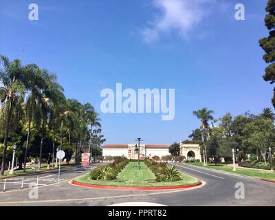 Balboa Park, San Diego, Californie, route bordée de palmiers et d'herbe verte du diviseur central avec de petits arbustes sous un ciel bleu. Banque D'Images