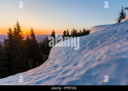 Vue fantastique de soir d'hiver dans les montagnes. Dessus vert foncé des pins derrière snowy hill et première étoile brillante dans le ciel bleu calme avec orange glo Banque D'Images