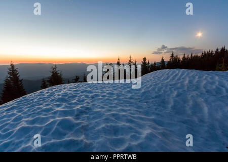 Vue fantastique de soir d'hiver dans les montagnes. Dessus vert foncé des pins derrière snowy hill et première étoile brillante dans le ciel bleu calme avec orange glo Banque D'Images