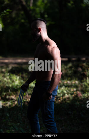 Wolverine avec pinces soyons forts à l'extérieur et Flexing Muscles - Super-héros athlétique Posing Banque D'Images