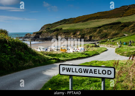 Pwllgwaelod beach à Dinas Head, près de Fishguard, Pembrokeshire, Pays de Galles Banque D'Images