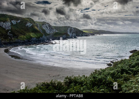 Pwllgwaelod beach à Dinas Head, près de Fishguard, Pembrokeshire, Pays de Galles Banque D'Images