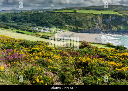 Pwllgwaelod beach à Dinas Head, près de Fishguard, Pembrokeshire, Pays de Galles Banque D'Images