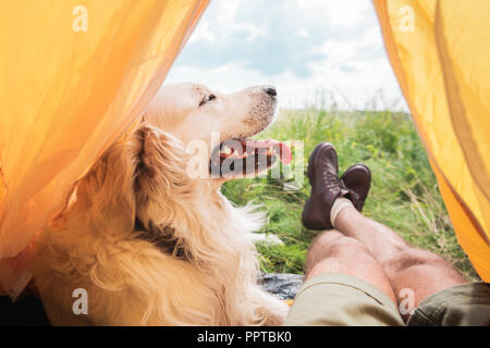 Vue partielle de l'en tente avec golden retriever dog on meadow Banque D'Images