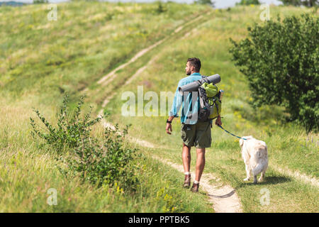 Vue arrière du traveler walking with dog sur chemin sur summer meadow Banque D'Images