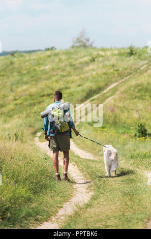 Vue arrière de balades touristiques avec golden retriever dog sur le chemin des prés d'été Banque D'Images