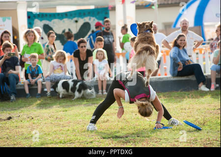 Florence, Italie - 2018, 22 Septembre : Woman throwing frisbee (disque volant) pour le chien à "suivre" Votre animal Expo 2018. Banque D'Images