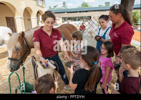 Florence, Italie - 2018, 22 septembre : les enfants prennent soin du cheval avec un pinceau et du curry, à "suivre" Votre animal Expo 2018. Banque D'Images