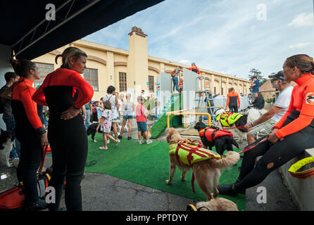 Florence, Italie - 2018, 22 Septembre : Dog trainers enseigner le chien à nager, à "suivre" Votre animal Expo 2018. Banque D'Images