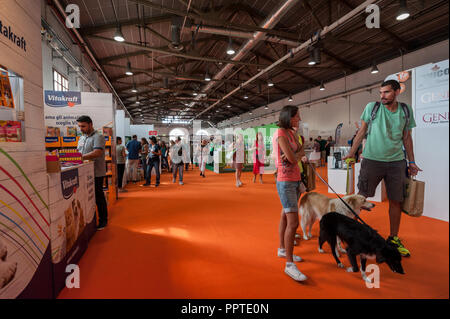 Florence, Italie - 2018, 22 septembre : Les gens se promener avec leurs chiens pour les stands, à "suivre" Votre animal Expo 2018. Banque D'Images