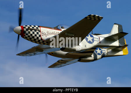 Paire de North American P-51 Mustang de la Deuxième Guerre mondiale avions de voler dans le ciel bleu. La Seconde Guerre Mondiale US Army Air Force avion duo. Mustangs. P-51s Banque D'Images