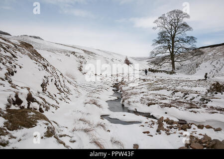 R dans le Peak District, Bray Clough près de Glossop., UK Banque D'Images