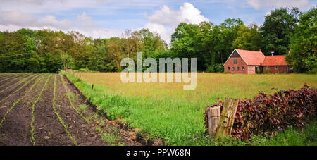 À l'échelle du champs luxuriants vers une vieille grange près de Delden dans la région de Twente (Overijssel, Pays-Bas). La grange a été démoli Banque D'Images