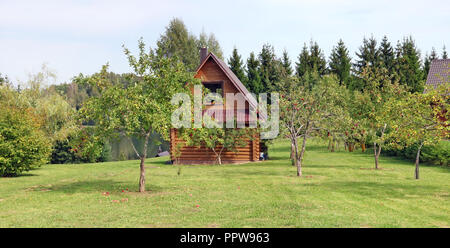 Une petite production de pommes aux fruits rouges pousse sur pelouse verte dans le jardin du village. Vue panoramique du paysage de septembre plusieurs photos en extérieur Banque D'Images