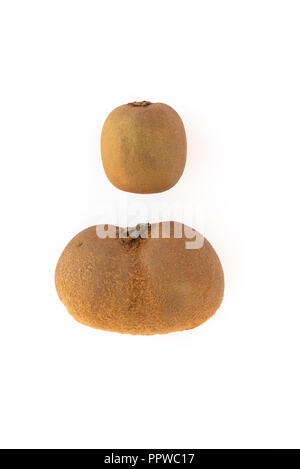 Kiwi fruits grande (199g) et de petite taille (environ 70g chacune). Banque D'Images