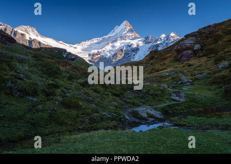 Soleil se couche pendant la randonnée à partir de premier à Grindelwald (Alpes Bernoises, Suisse). Vous pouvez avoir une vue magnifique sur l'Eiger, Mönch et Jungfrau Banque D'Images