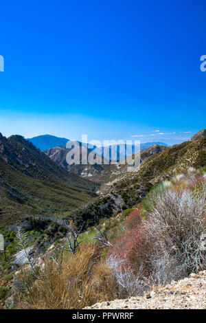 Vista des montagnes de San Gabriel, à partir Mt Wilson près de Glendale, Californie Banque D'Images