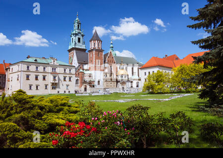 Cracovie, Pologne : la cathédrale de Wawel, sur la colline de Wawel avec fleurs en premier plan. D'abord construit et détruit au 11e siècle ; la constructi Banque D'Images