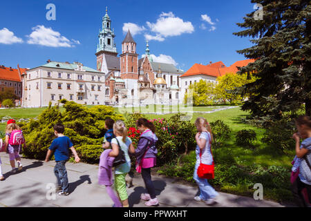 Cracovie, Pologne : un groupe d'écoliers passe devant la cathédrale du Wawel sur la colline de Wawel. D'abord construit et détruit au 11e siècle ; la constructi Banque D'Images