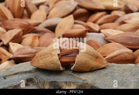 Un tas de pili les écrous. Banque D'Images