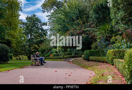 Londres, Royaume-Uni - 16 septembre 2018 : Un homme non identifié lit son journal dans le Waterlow Park, dans le village de Highgate, au nord de Londres, un dimanche matin. Banque D'Images