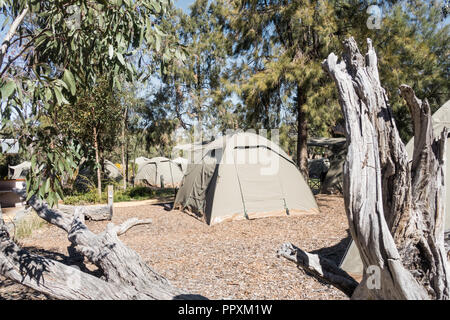 Tentes pour des séjours d'une nuit en camping à Billabong Zoo Dubbo NSW Australie. Banque D'Images