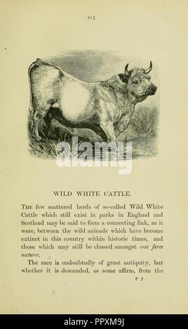 Animaux britannique disparu dans les temps historiques Banque D'Images