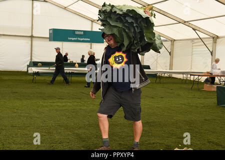 Le Malvern trois comtés Showground, Worcestershire, Royaume-Uni, 28 septembre 2018. Le Malvern Autumn Show accueille chaque année le championnat national de légumes géants. Crédit : Simon Maycock/Alamy Live News Banque D'Images